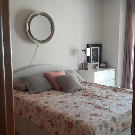 Jacaranda توريمولينوس
