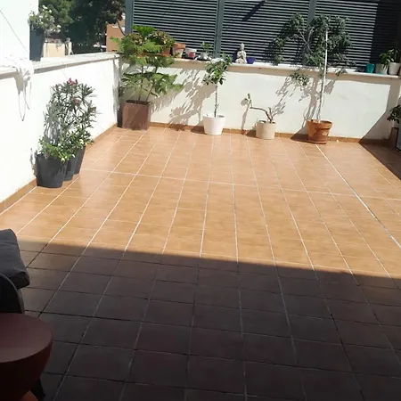 شقة Jacaranda *